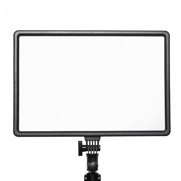 Постійне світло Mircopro LED-50A